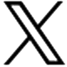 graphic image of the letter X